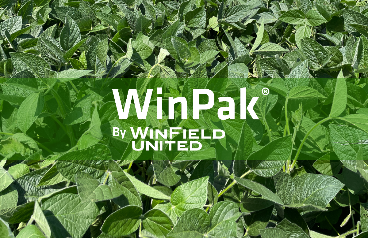 WinPak Soybeans